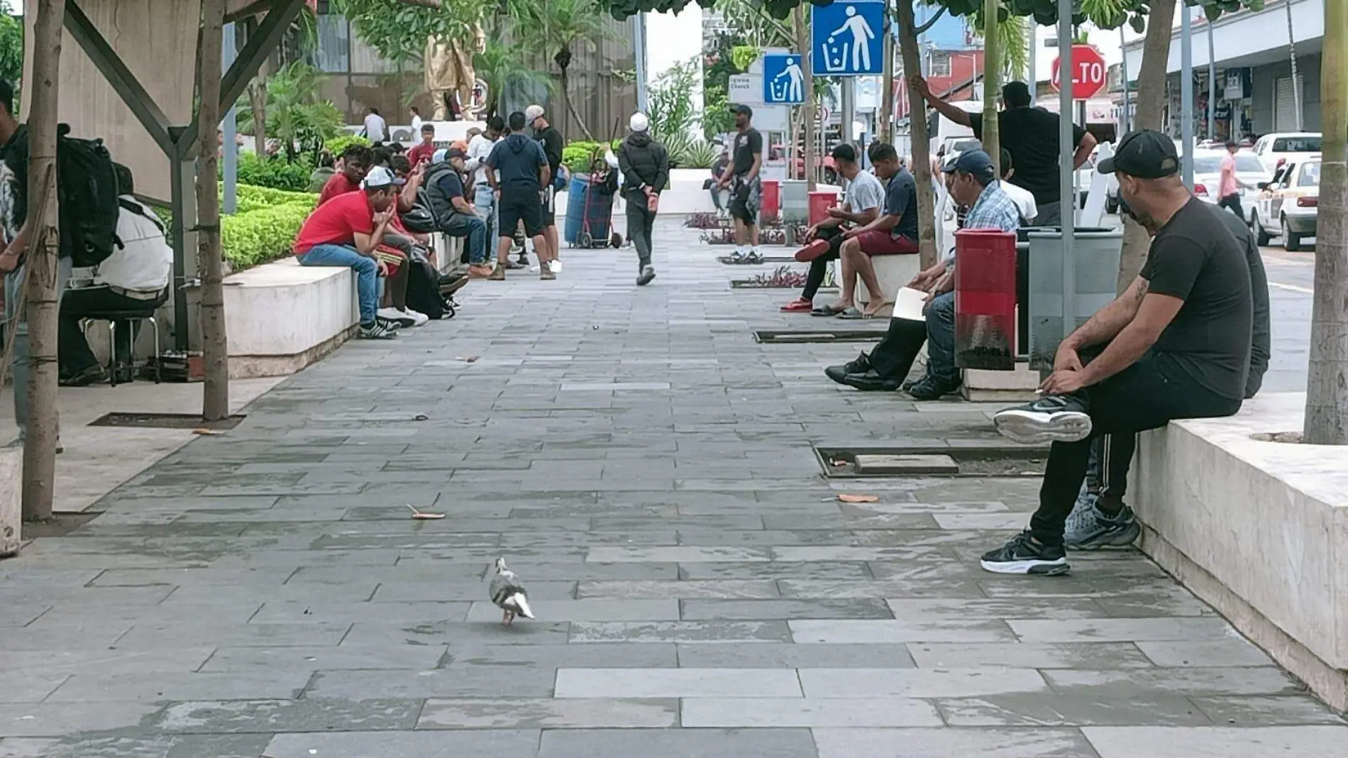 migrantes en el parque de Tapachula